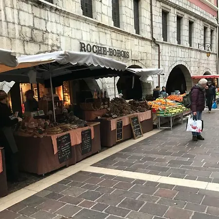 La Perle De La Vieille Ville D'annecy Apartamento